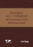 Principios ali unidroit del proceso civil transnacional (eBook, PDF)