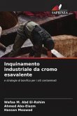 Inquinamento industriale da cromo esavalente