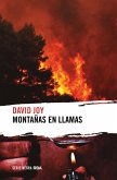 Montañas en llamas (eBook, ePUB)