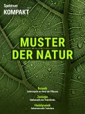 Spektrum Kompakt - Muster der Natur (eBook, PDF)