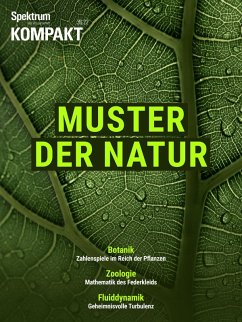 Spektrum Kompakt - Muster der Natur (eBook, PDF) - Spektrum der Wissenschaft