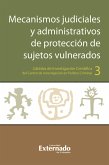 Mecanismos judiciales y administrativos de protección de sujetos vulnerados (eBook, PDF)