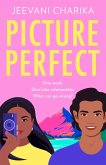 Picture Perfect (eBook, ePUB) Picture Perfect (eBook, ePUB)