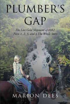 Plumber's Gap (eBook, ePUB)