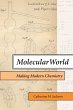 Molecular World (eBook, ePUB) - Bild 1