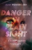 Danger in Plain Sight (eBook, ePUB)