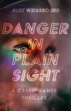 Danger in Plain Sight (eBook, ePUB) - Weissbourd, Burt