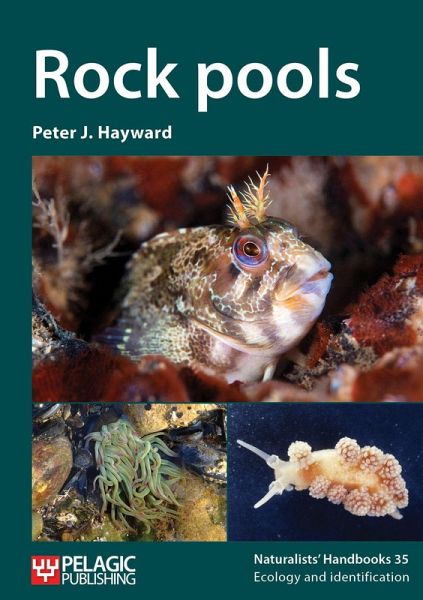 Rock pools (eBook, ePUB)