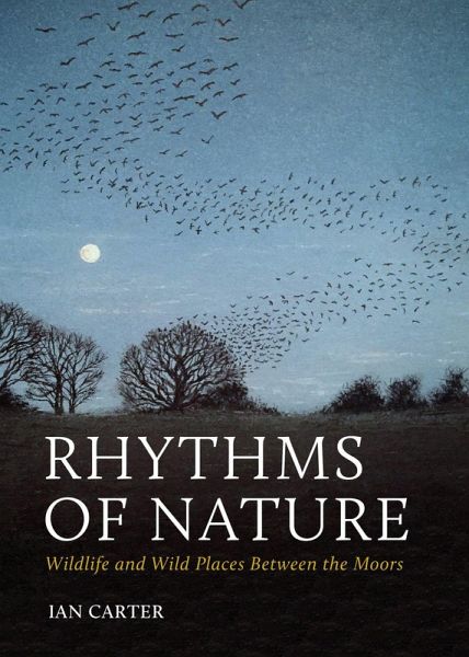 Rhythms of Nature (eBook, ePUB)