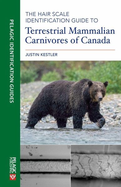 The Hair Scale Identification Guide to Terrestrial Mammalian Carnivores of Canada (eBook, ePUB)
