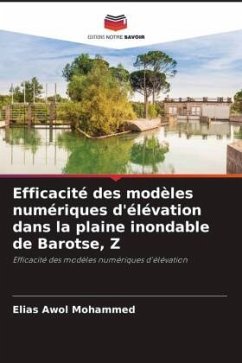 Efficacité des modèles numériques d'élévation dans la plaine inondable de Barotse, Z - Mohammed, Elias Awol