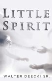 Little Spirit