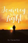 Journey to the Light (eBook, ePUB)