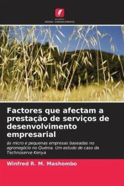 Factores que afectam a prestação de serviços de desenvolvimento empresarial - R. M. Mashombo, Winfred