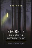 Secrets on a Hill in Chocowinity, NC (eBook, ePUB)