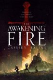 The Awakening Fire (eBook, ePUB)