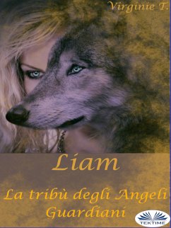 Liam (eBook, ePUB) - T., Virginie