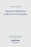 Patterns of Deification in the Acts of the Apostles (eBook, PDF)