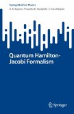 Quantum Hamilton-Jacobi Formalism (eBook, PDF)