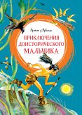 Приключения доисторического мальчика (eBook, ePUB)