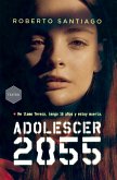 Adolescer 2055 (eBook, ePUB)