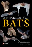 A Miscellany of Bats (eBook, ePUB)