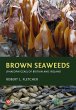 Brown Seaweeds (Phaeophyceae) of... - Bild 1