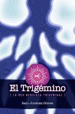 El Trigémino: La Red Nerviosa Trigeminal (eBook, ePUB)