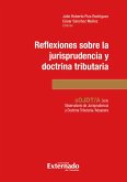 Reflexiones sobre la jurisprudencia constitucional tributaria (eBook, PDF)