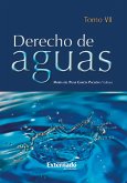 Derecho de Aguas Tomo VII (eBook, PDF)