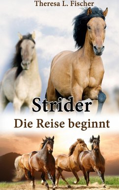 Strider - Fischer, Theresa L.