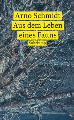 Aus dem Leben eines Fauns - Schmidt, Arno