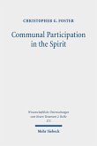 Communal Participation in the Spirit (eBook, PDF)