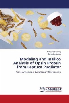 Modeling and Insilico Analysis of Opsin Protein from Leptuca Pugilator - Kamaraj, Sathvika;Vuppu, Suneetha