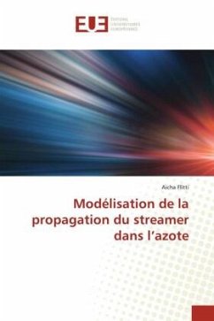 Modélisation de la propagation du streamer dans l¿azote - Flitti, Aicha