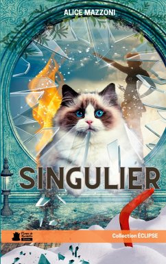 Cover Singulier