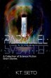 Parallel (eBook, ePUB) - Bild 1