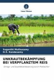 UNKRAUTBEKÄMPFUNG BEI VERPFLANZTEM REIS