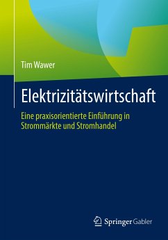 Elektrizitätswirtschaft (eBook, PDF) - Wawer, Tim