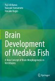 Brain Development of Medaka Fish (eBook, PDF)