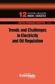 Trends and challenges in electricity and oil regulation. colección de regulación minera energética n.° 12 (eBook, PDF)