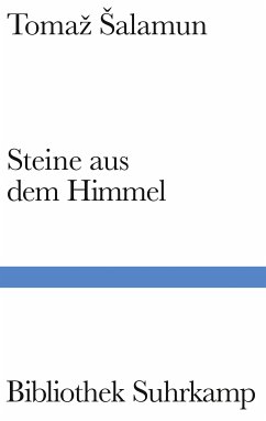 Steine aus dem Himmel (eBook, ePUB) - Šalamun, Tomaž