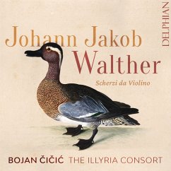 Scherzi Da Violino - Cicic,Bojan/The Illyria Consort