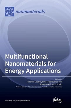 Multifunctional Nanomaterials for Energy Applications