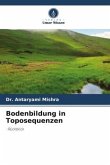 Bodenbildung in Toposequenzen
