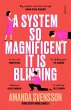 A System So Magnificent It Is Blinding - Bild 1