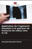 Application de l'ingénierie tissulaire à la guérison de fractures du radius chez le rat