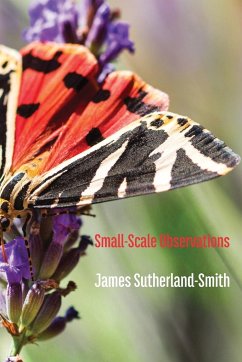 Small-Scale Observations - Sutherland-Smith, James
