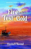 Fire is the Test of Gold (eBook, ePUB)