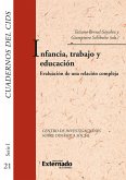 Infancia, trabajo y educación (eBook, PDF)